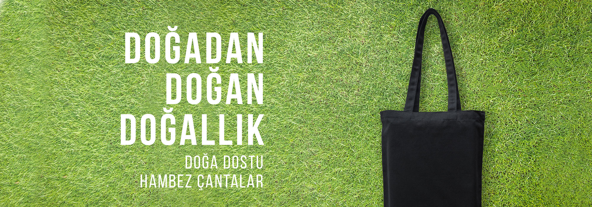 Image of second carousel